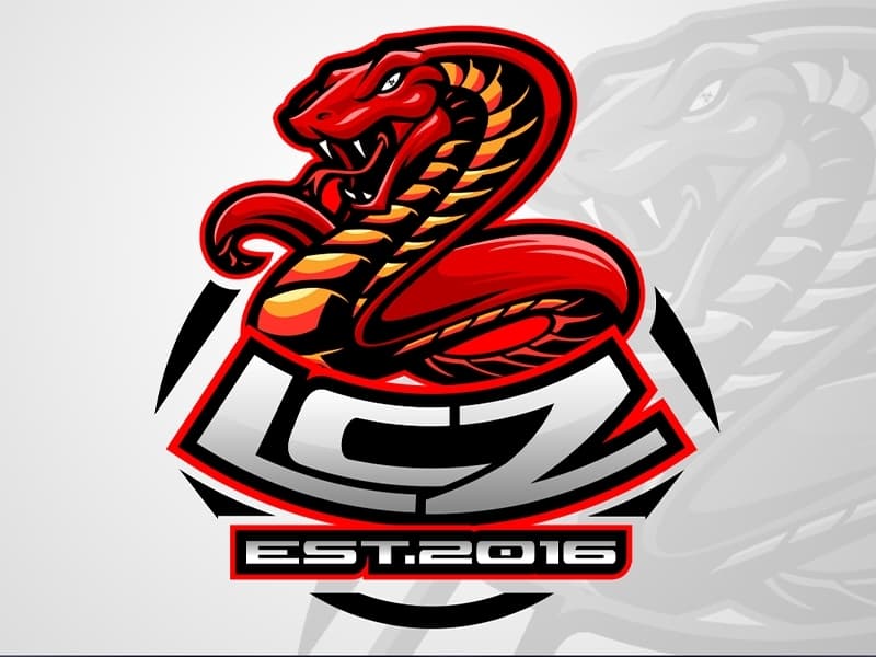 Gaming Logo Design portfolio project 5