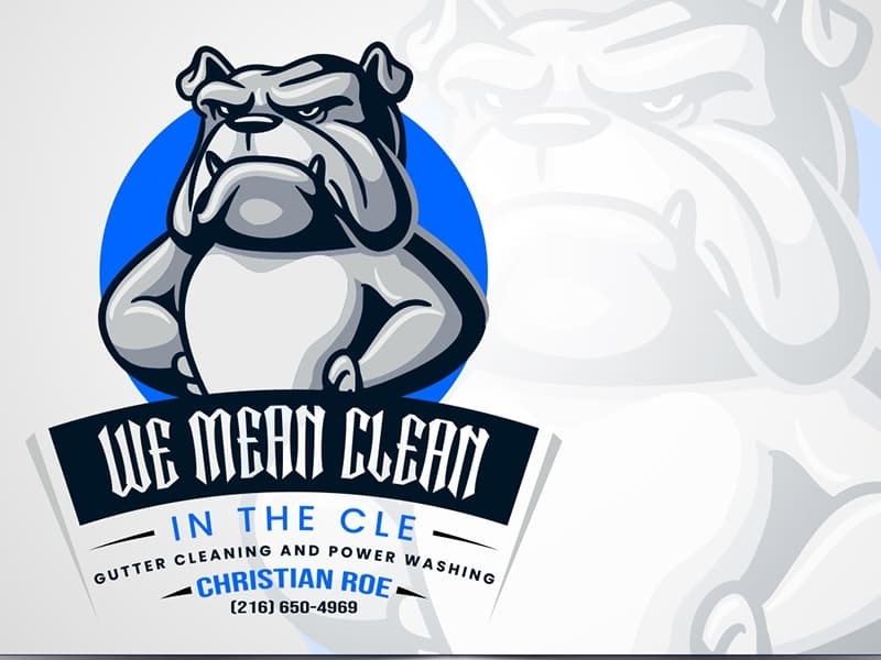 Mascot Logo Design portfolio project 5