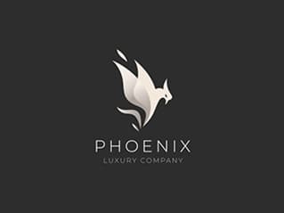 Abstract Logo Design portfolio project 4