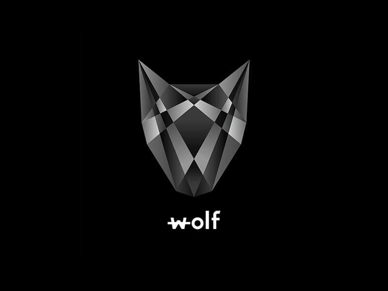 Abstract Logo Design portfolio project 5